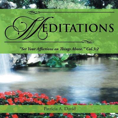 Meditations By Patricia a David (Paperback) 9781490816265