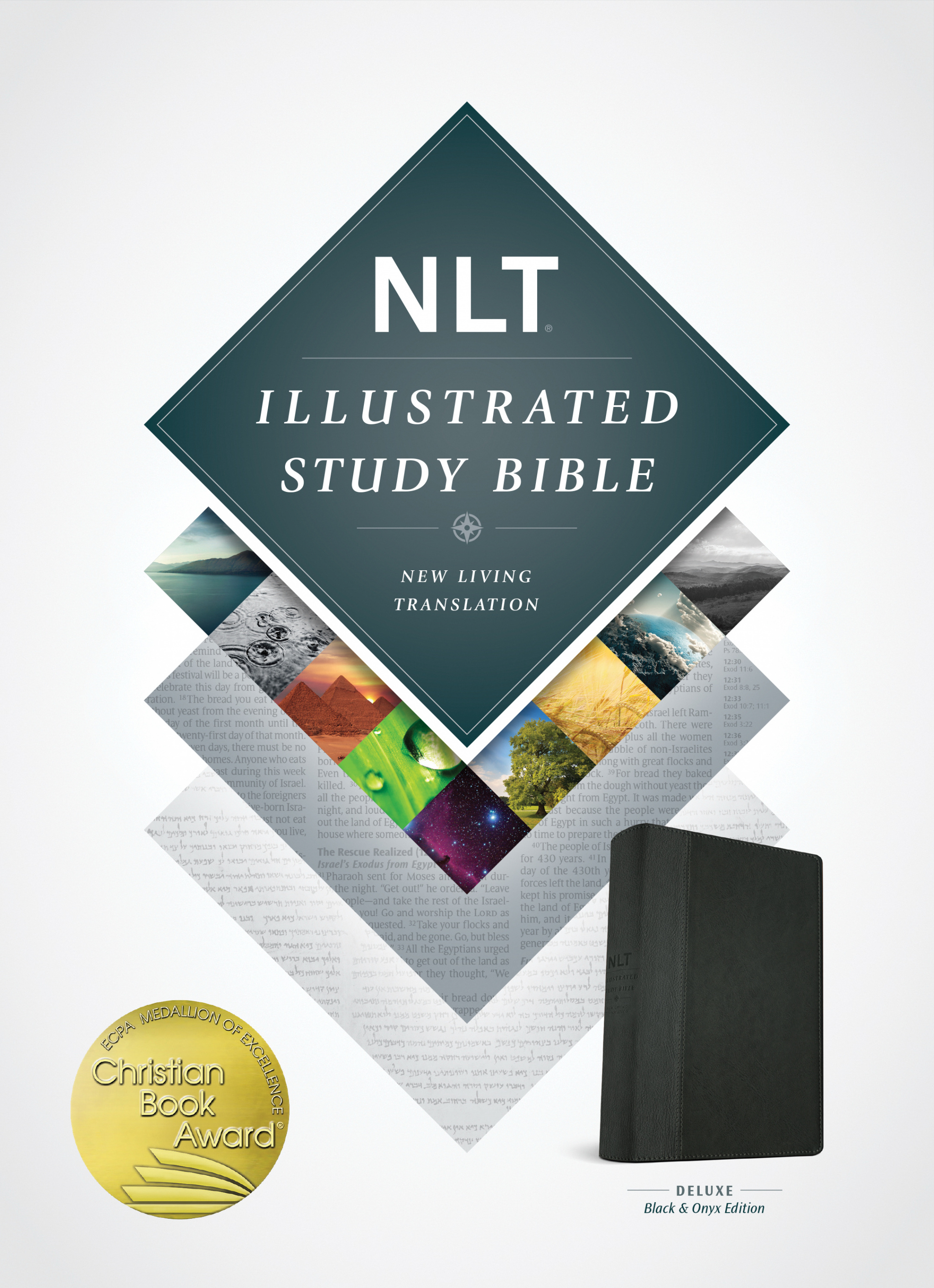 NLT Illustrated Study Bible Black Onyx Imitation Leather 9781496402011