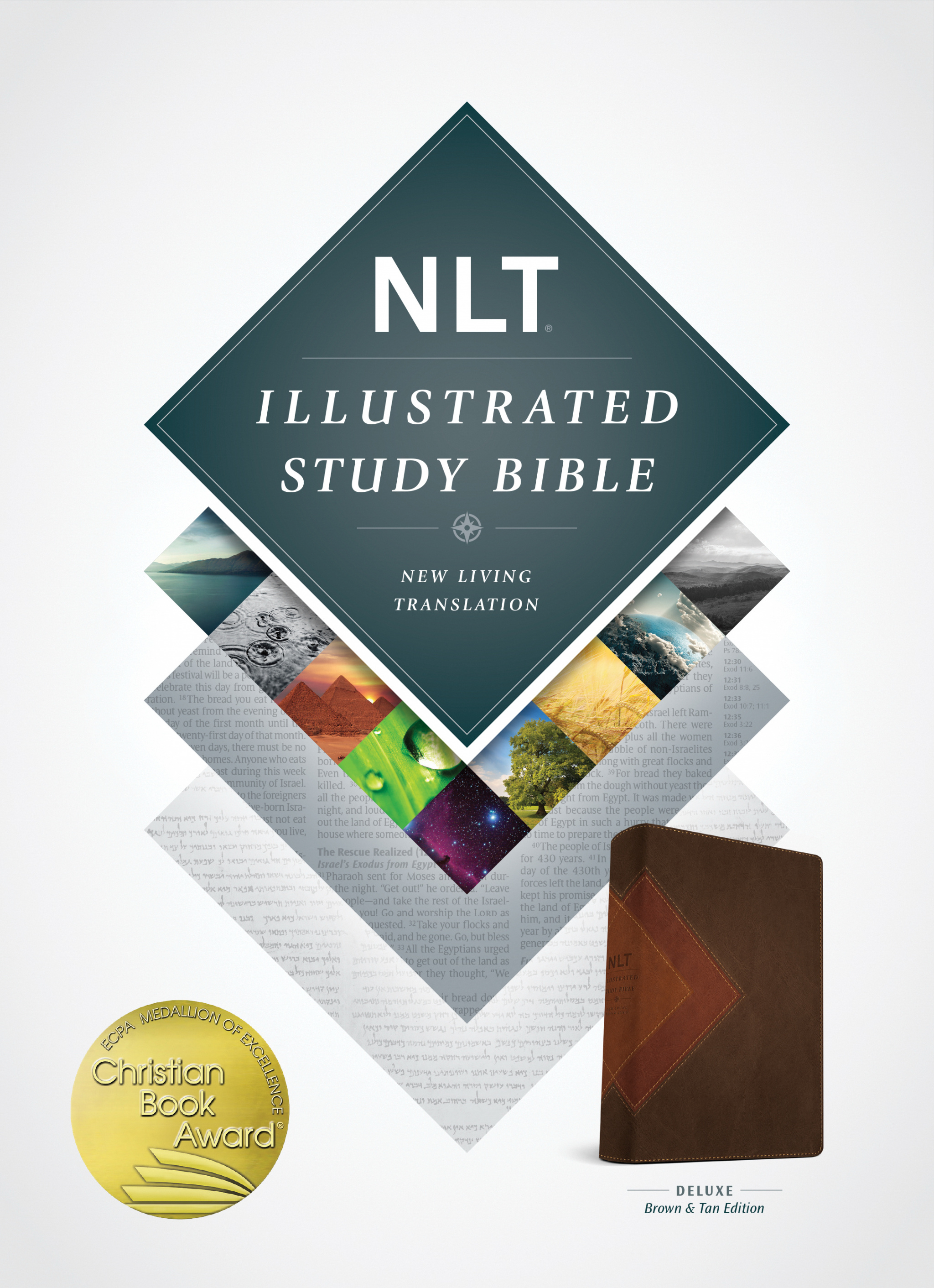 Illustrated Study Bible NLT Tu Tone By New Living Trans 2 9781496402042