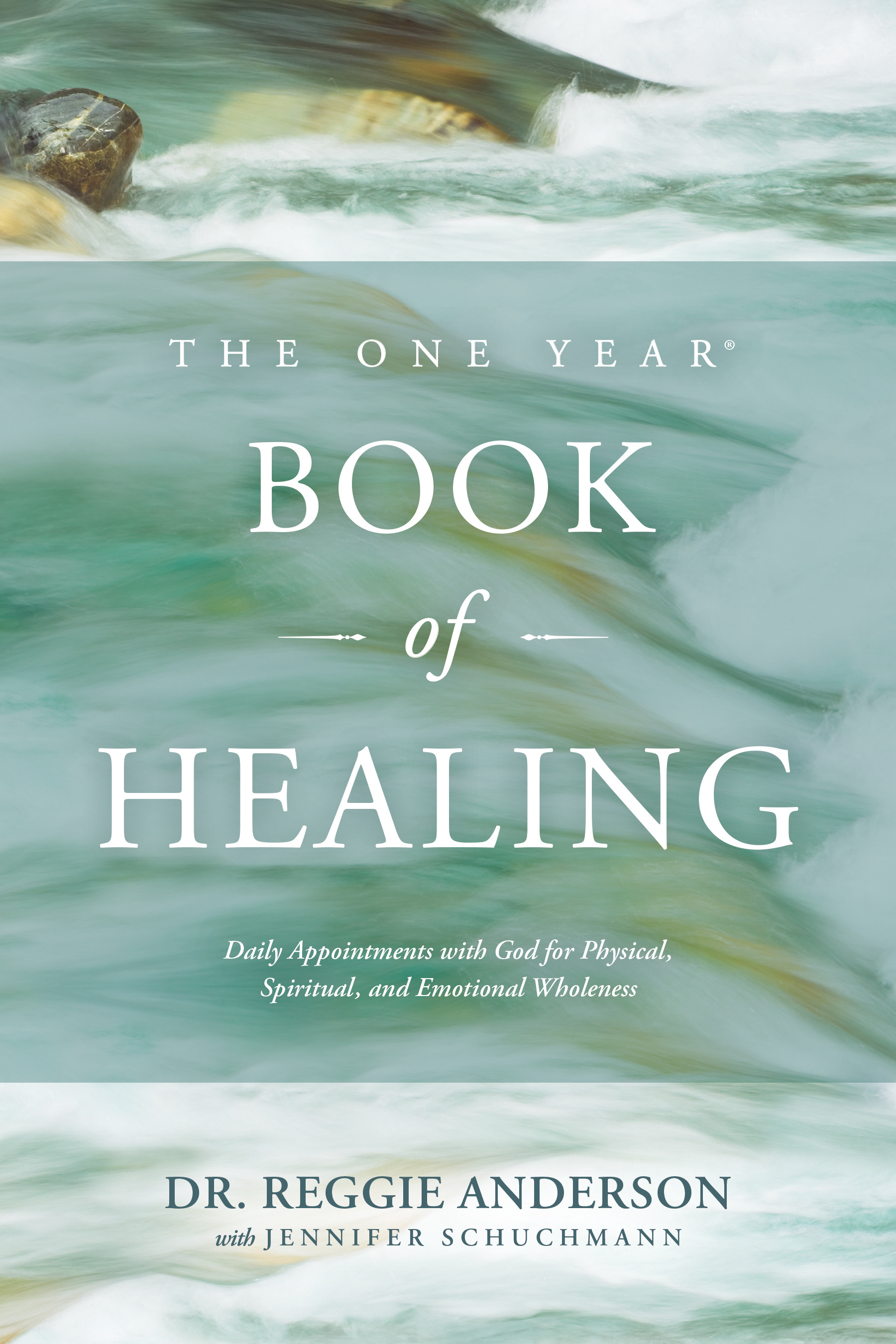 The One Year Book of Healing By Anderson Reggie (Paperback)