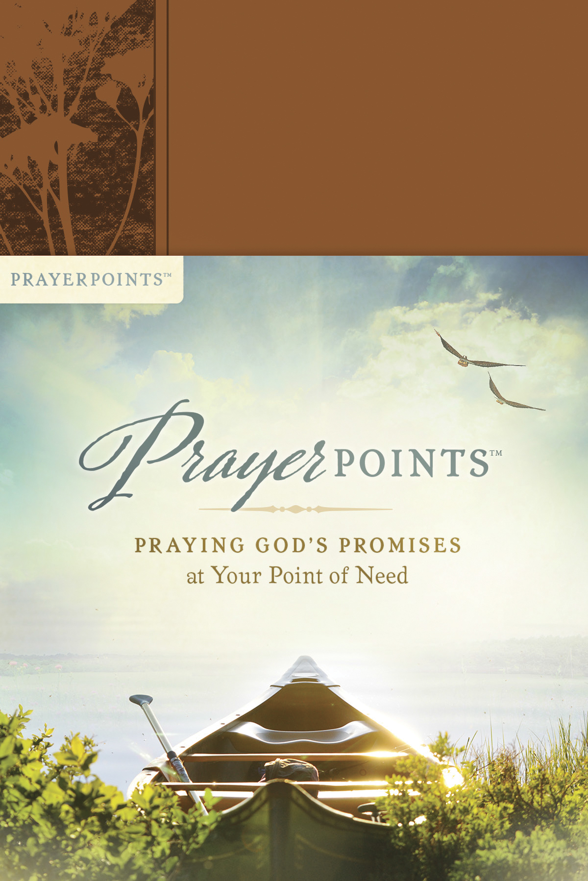 Prayer Points