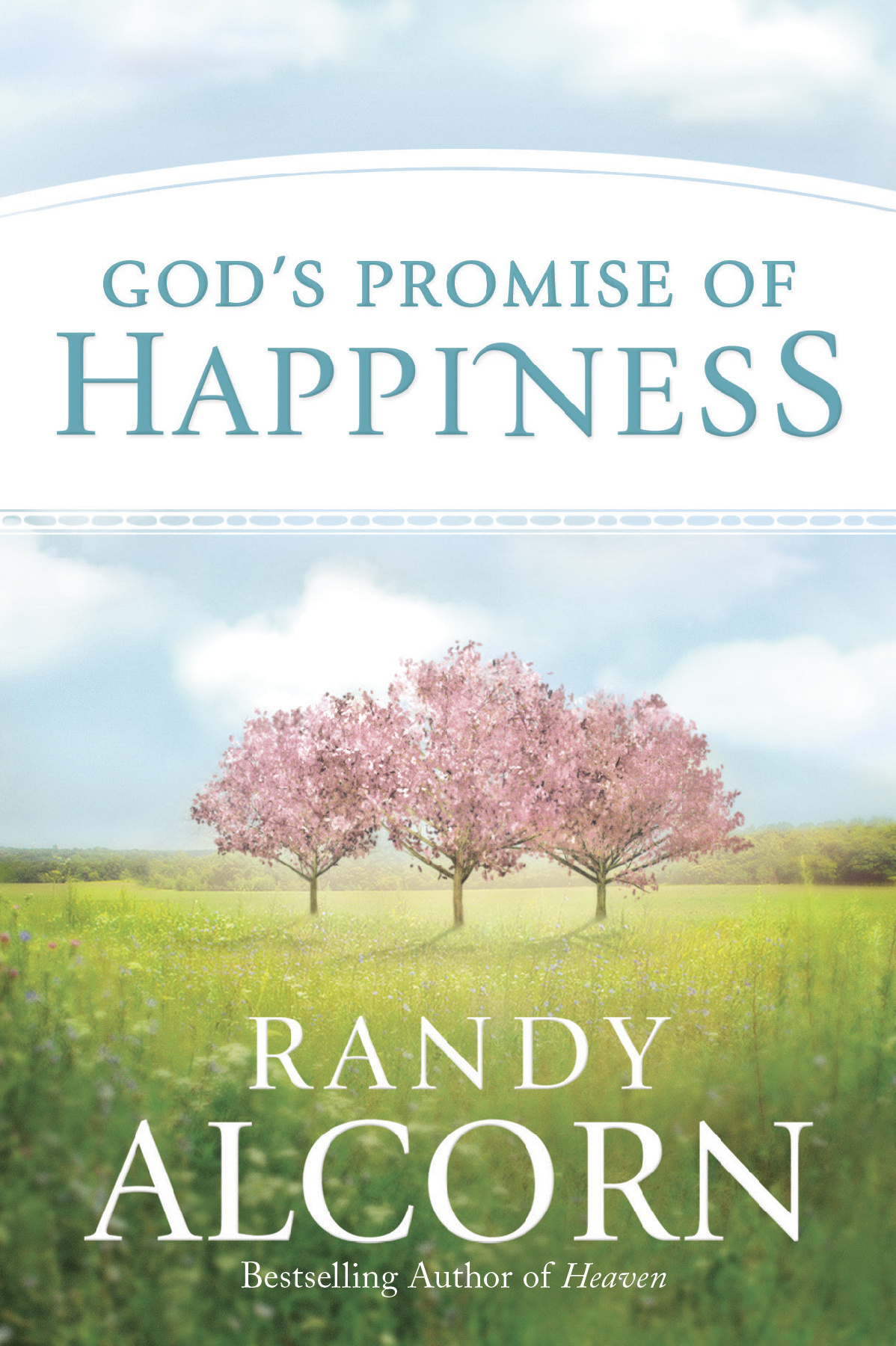 God's Promise of Happiness By Alcorn Randy (Paperback) 9781496411457