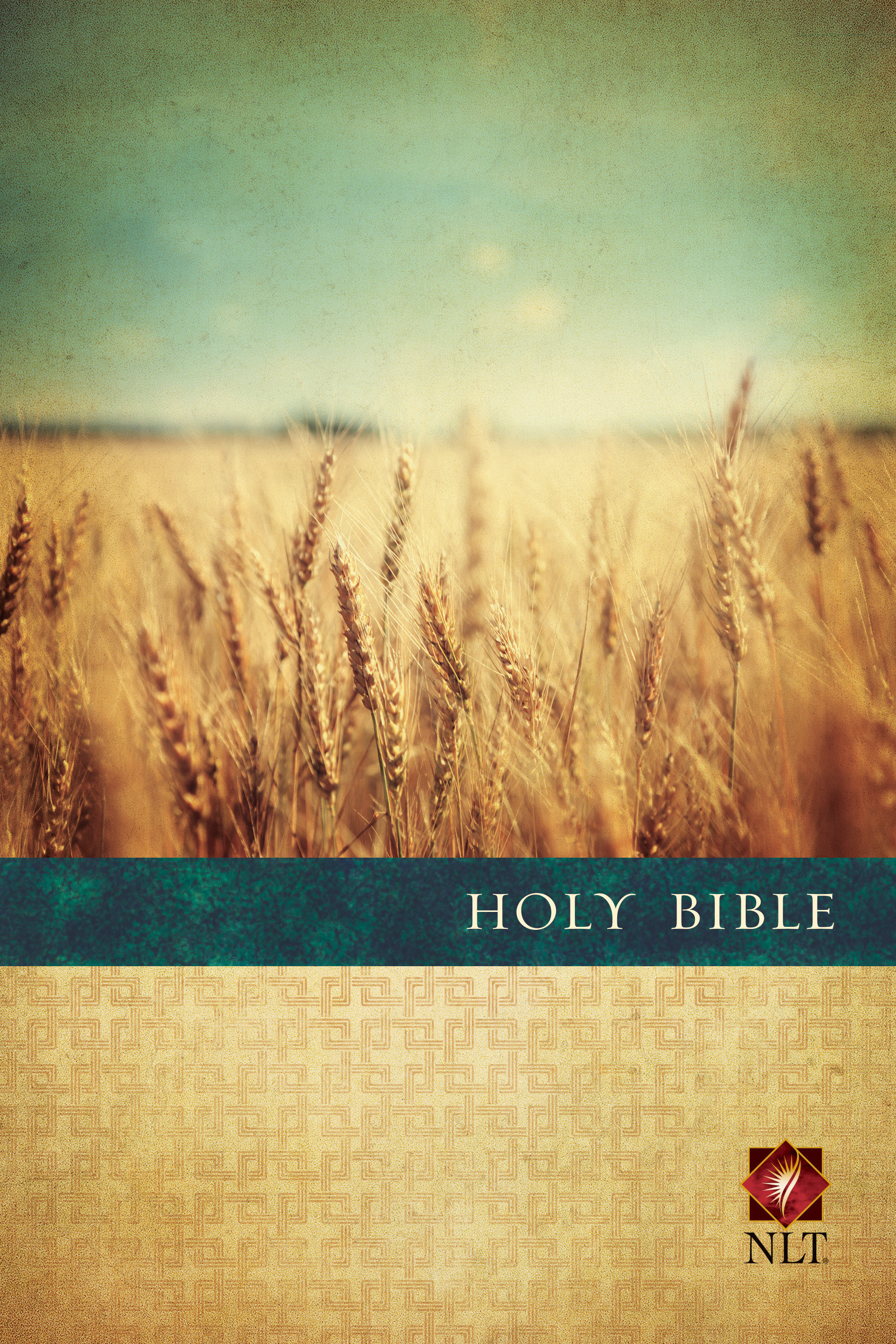 Large Print Paperback Bibles