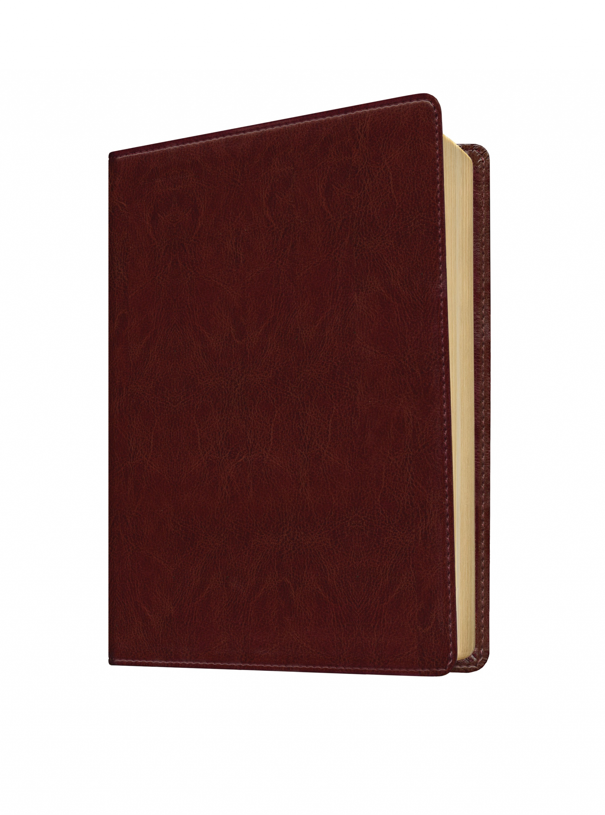 NLT Life Application Study Bible, Large Print, Imitation Leather ...