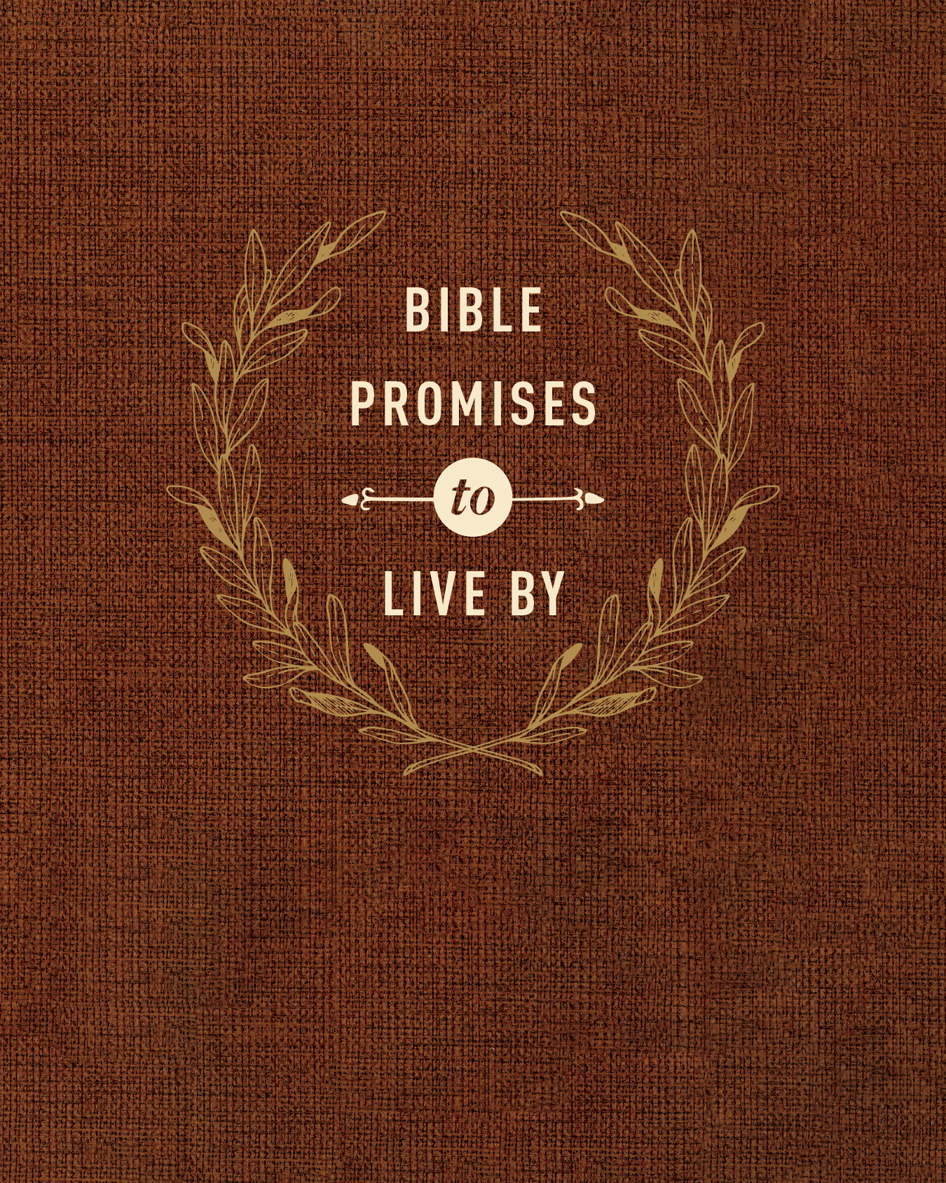 Bible Promises to Live By By Amy Mason (Imitation Leather)