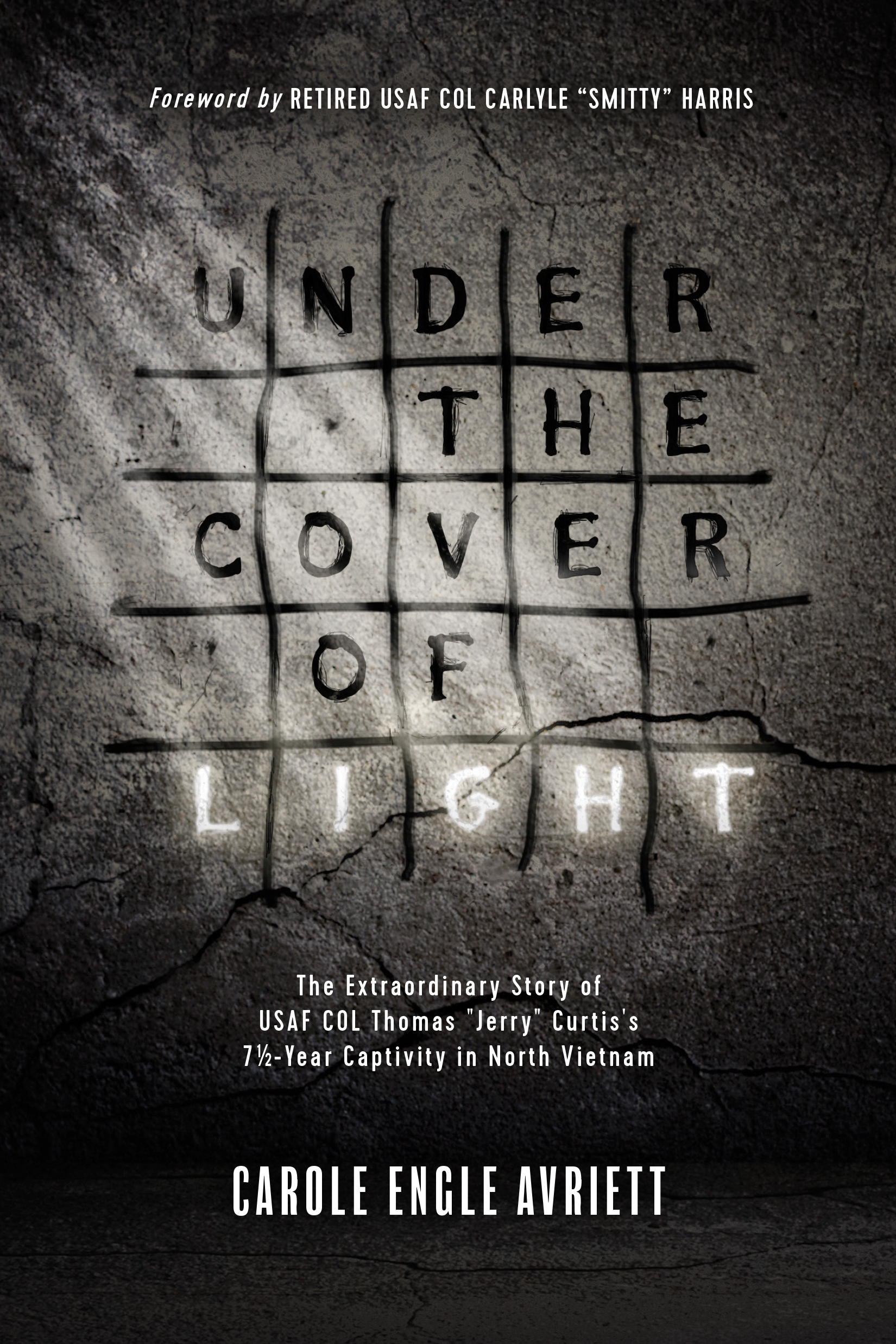 Under The Cover Of Light By Carole Engle Avriett (Paperback)