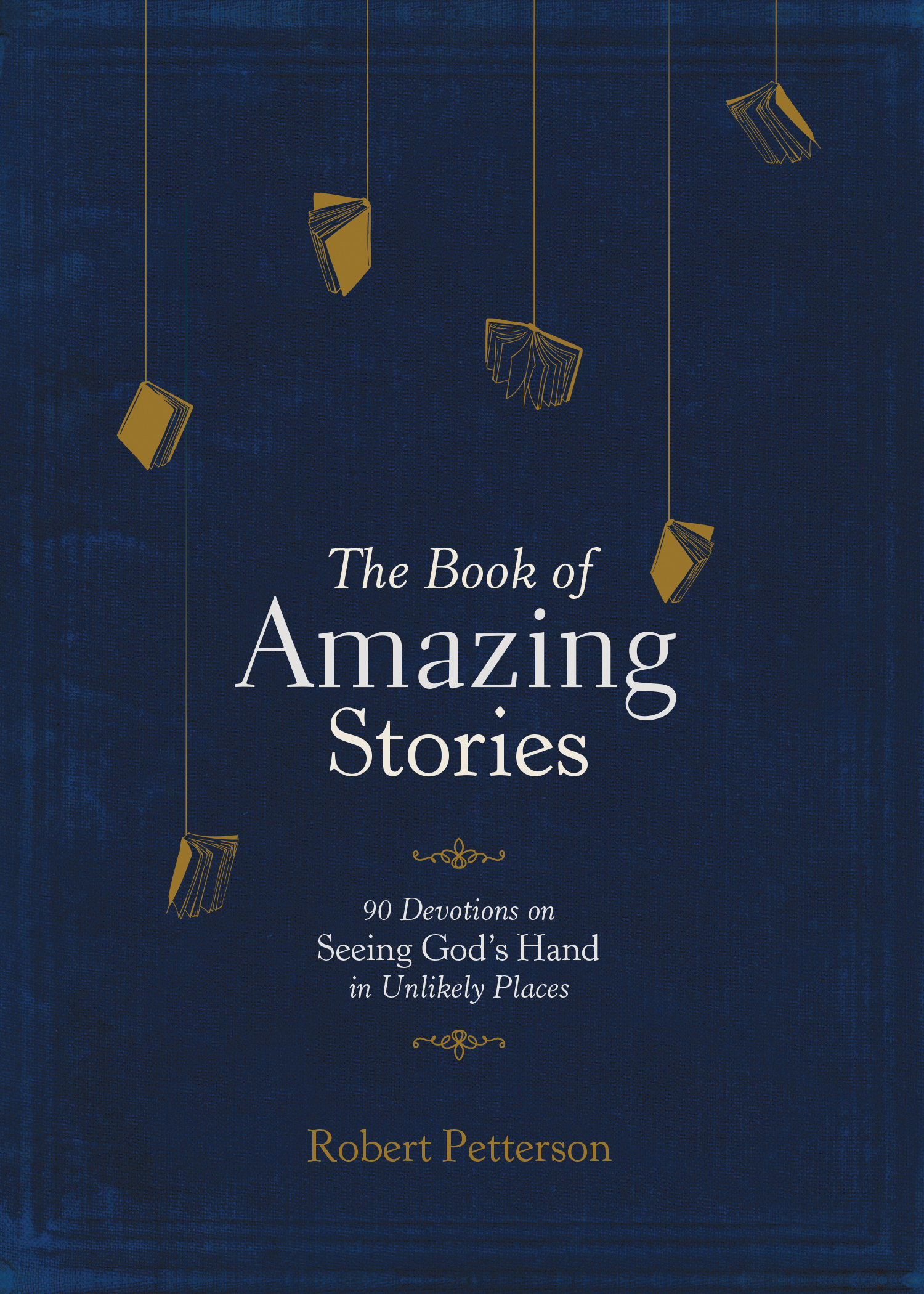 The Book of Amazing Stories By Robert Petterson (Hardback)