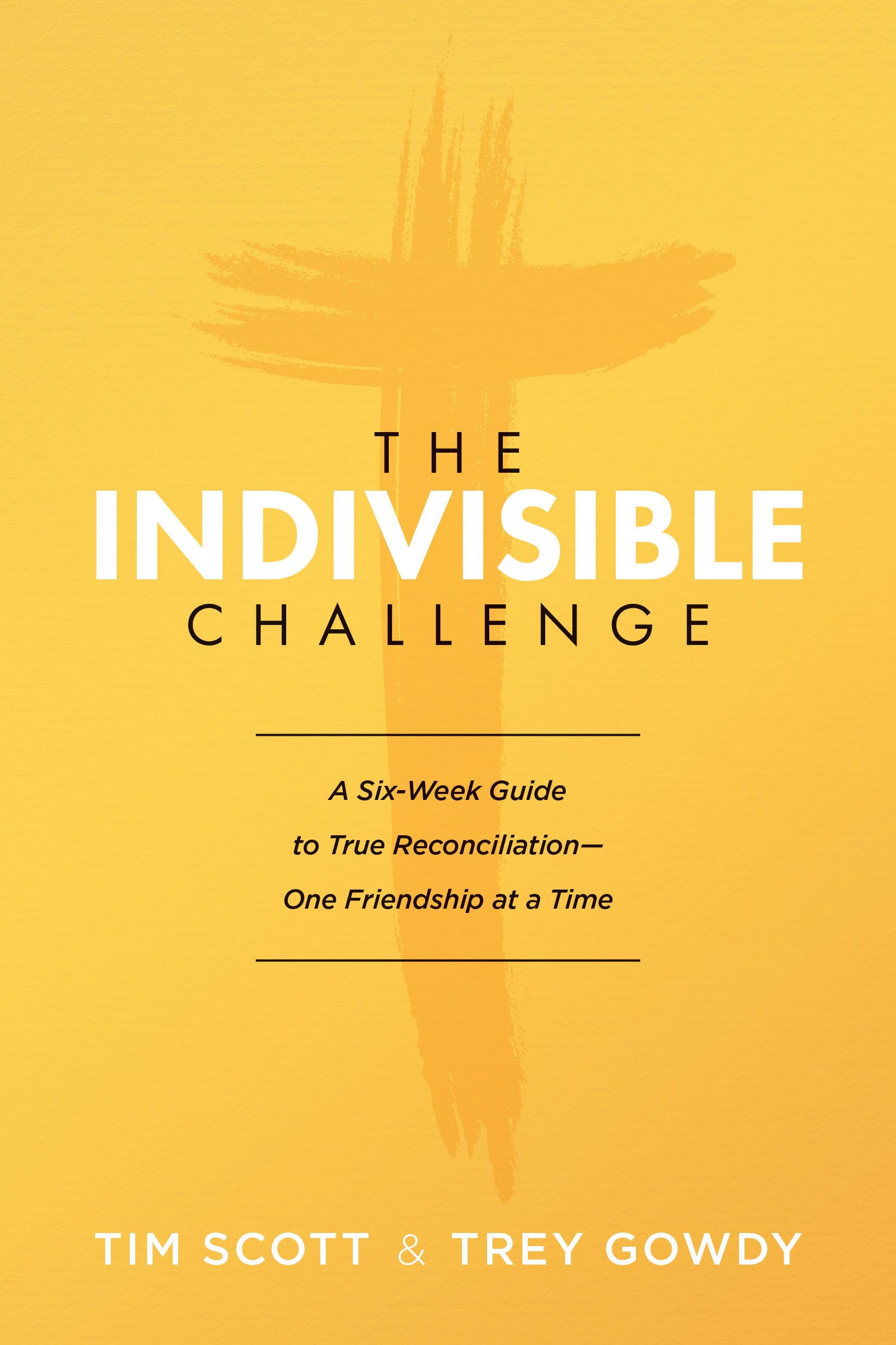 Indivisible Challenge The