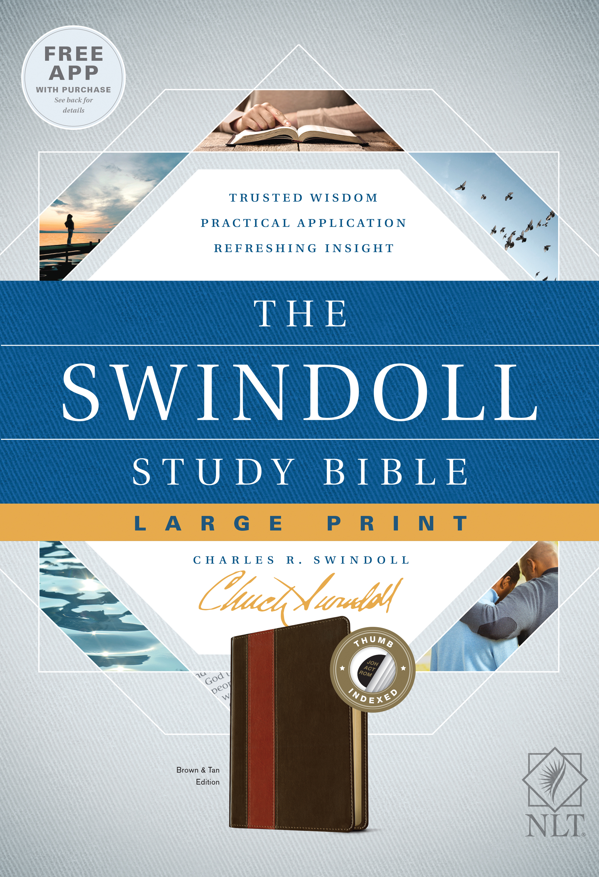 the-nlt-swindoll-study-bible-large-print-brown-indexed