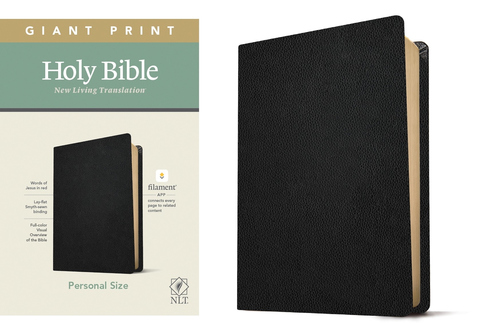 Nlt Filament Giant Print Bible 9781496444981 Free Delivery At Eden