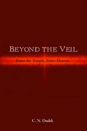 Beyond the Veil By C N Dudek (Paperback) 9781498282444