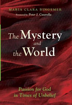 The Mystery and the World By Bingemer Maria Clara (Hardback)