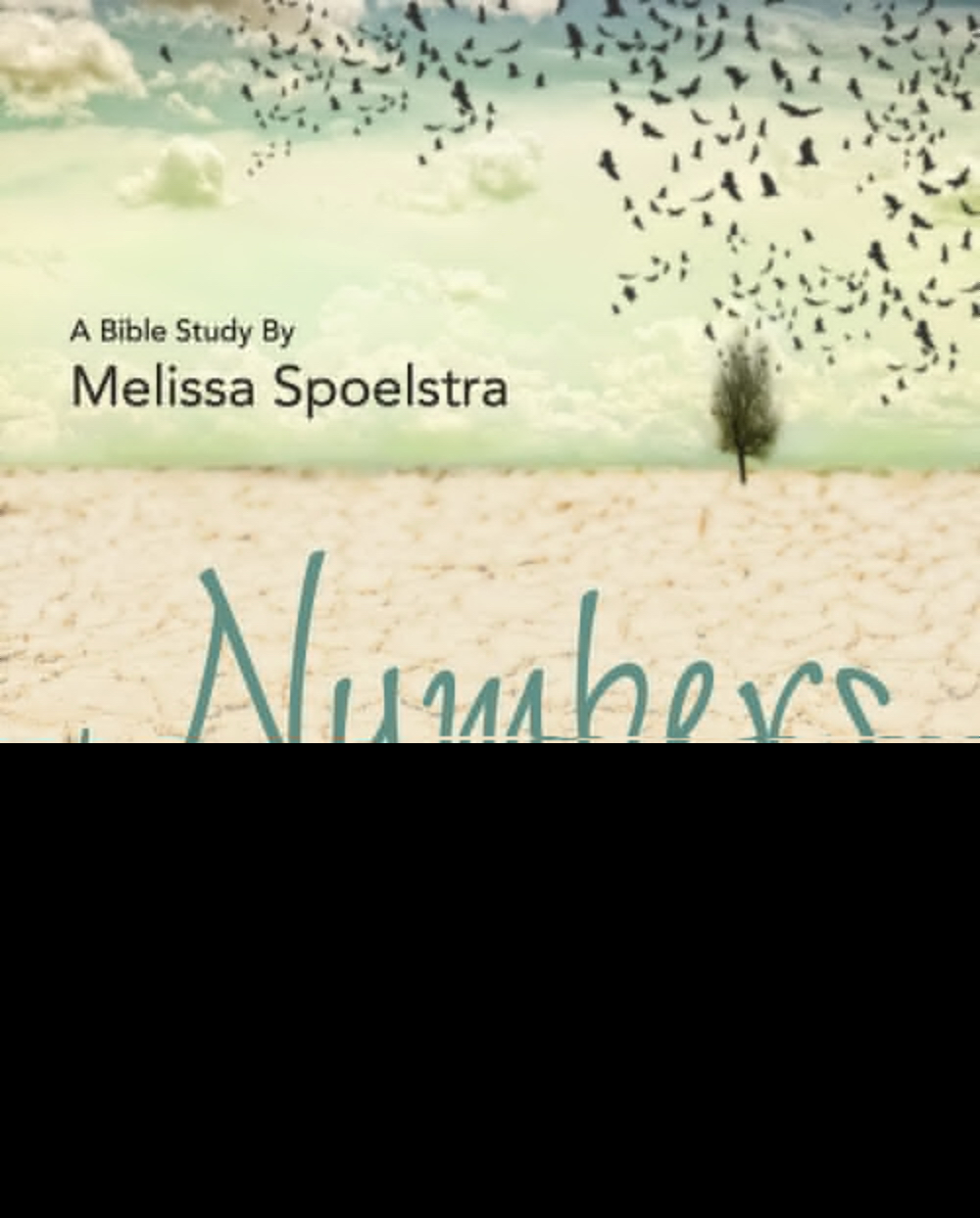 Numbers - Women's Bible Study Participant Workbook (Paperback)