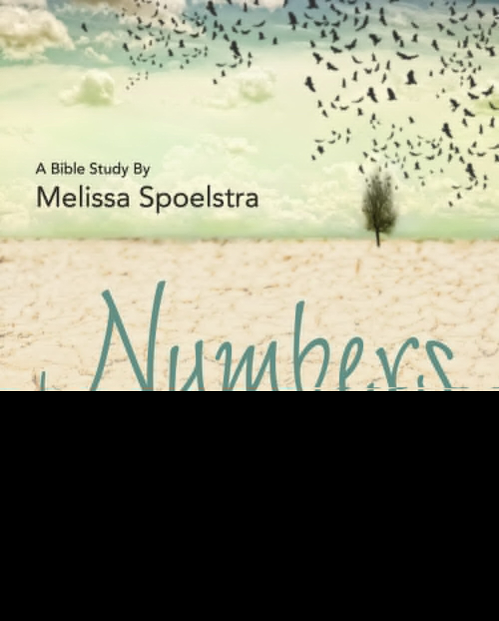 Numbers - Women's Bible Study Leader Guide By Spoelstra Melissa