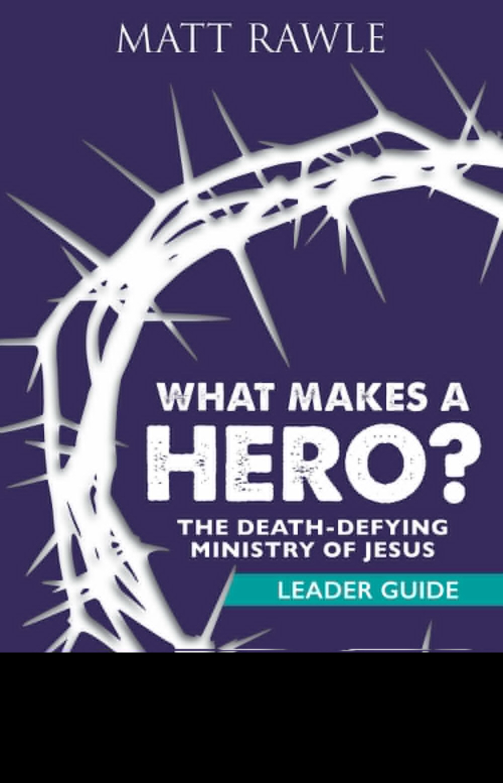 What Makes a Hero Leader Guide