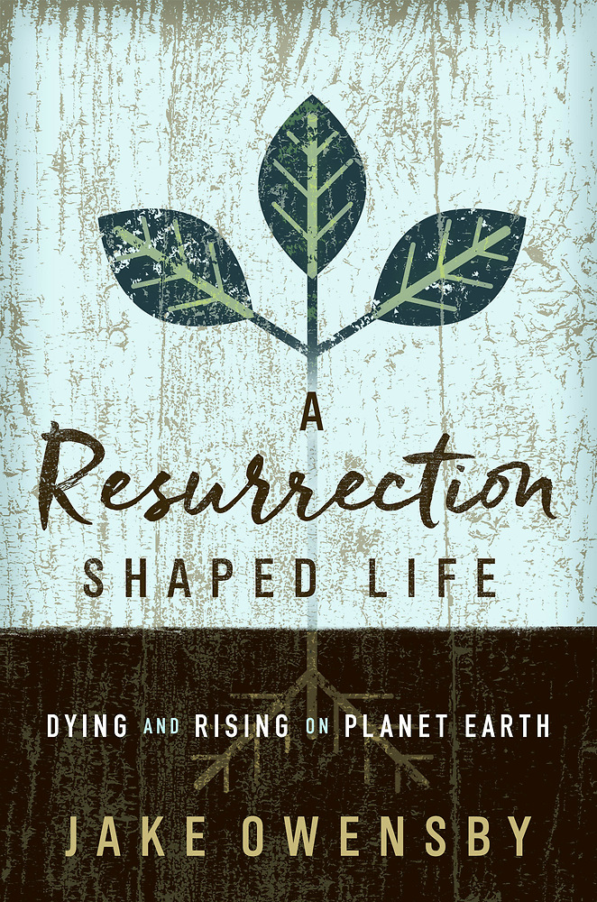 Resurrection Shaped Life A By Owensby Jake (Paperback) 9781501870811