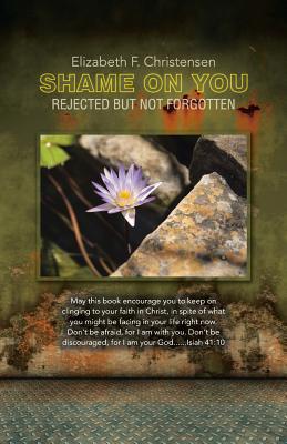 Shame On You By Elizabeth F Christensen (Paperback) 9781512787887