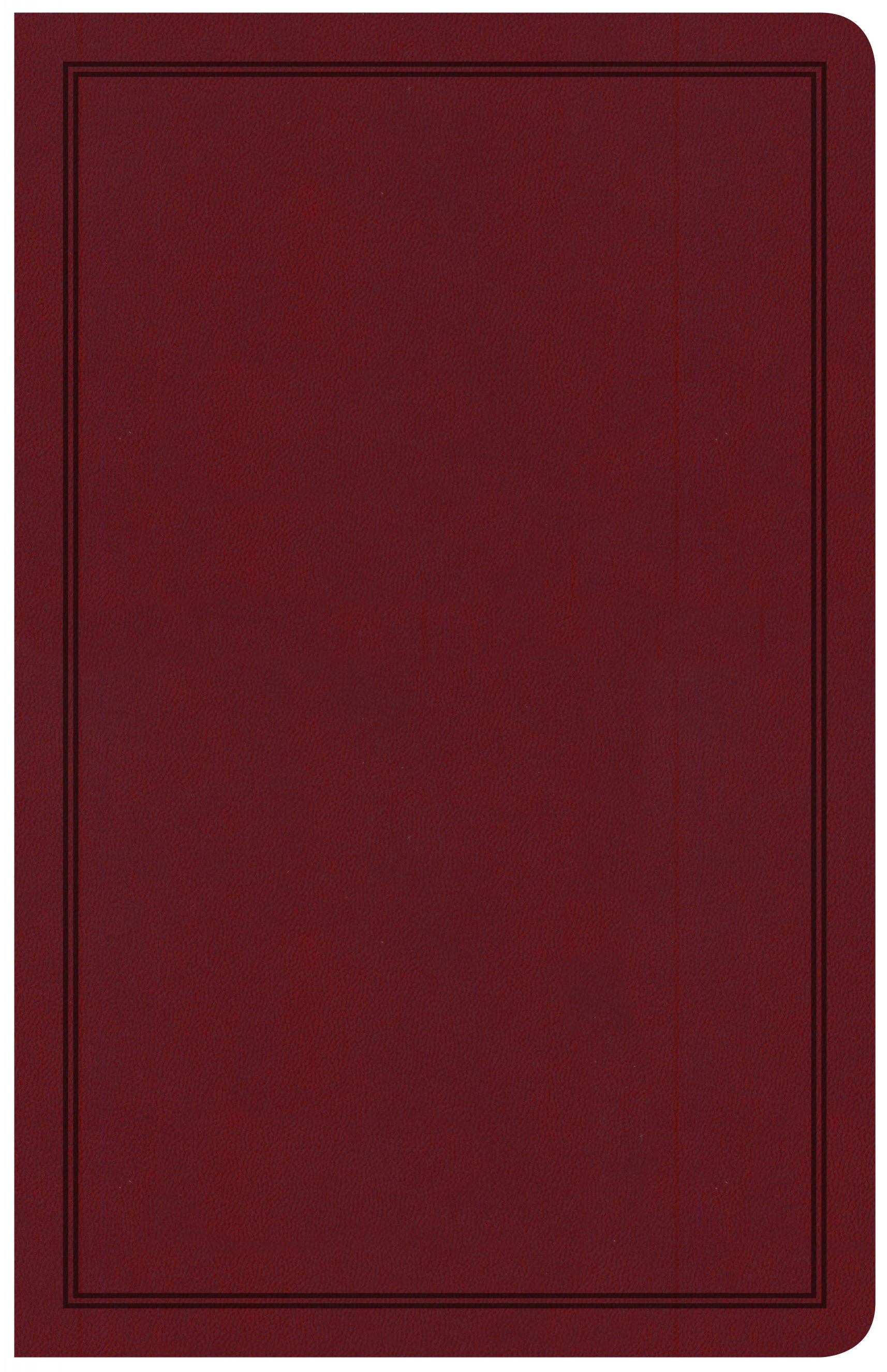 CSB Deluxe Gift Bible By CSB Bibles by Holman (Imitation Leather)