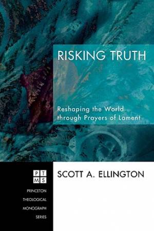 Risking Truth By Scott A Ellington (Other) 9781556352638