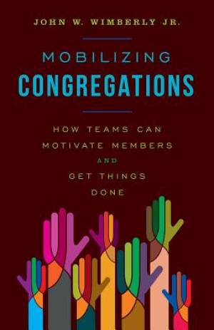 Mobilizing Congregations By John W Jr Wimberly (Paperback)