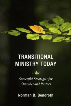 Transitional Ministry Today (Paperback) 9781566997508