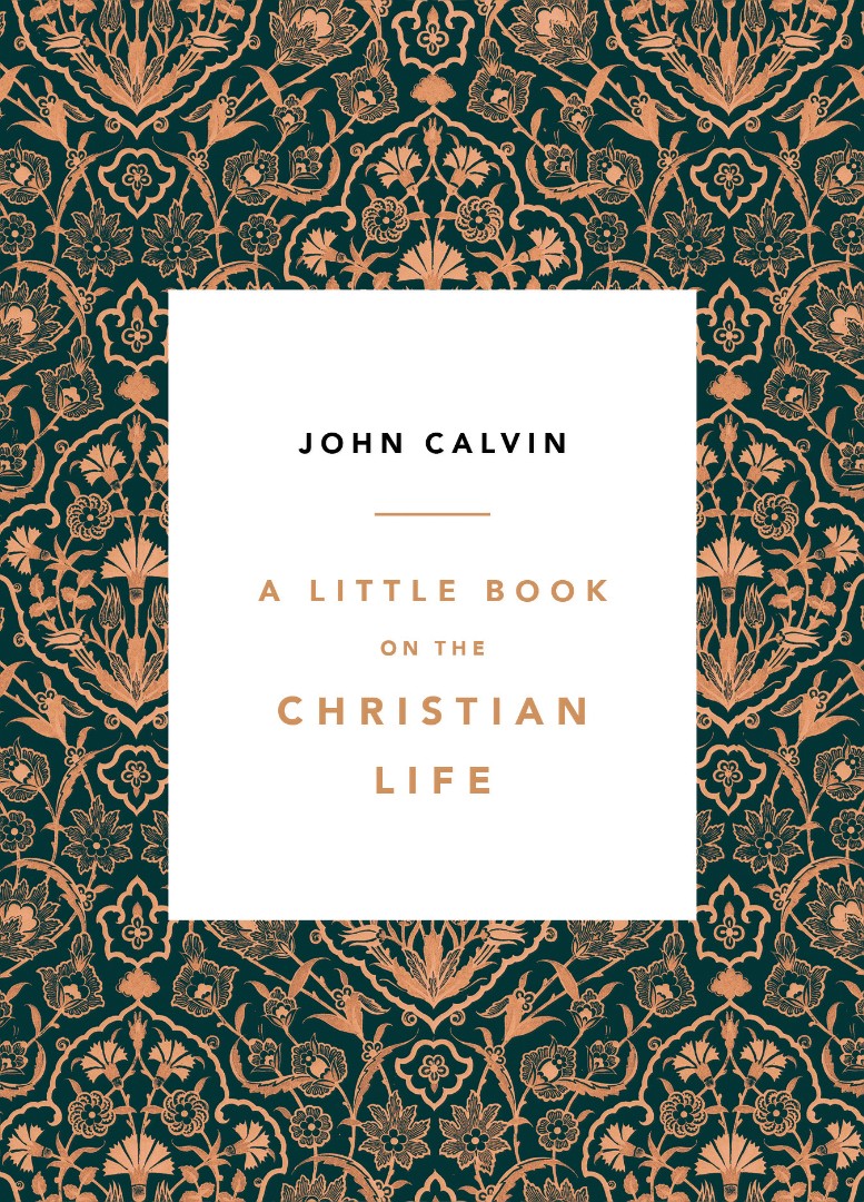 A Little Book On The Christian Life By Calvin John (Paperback)