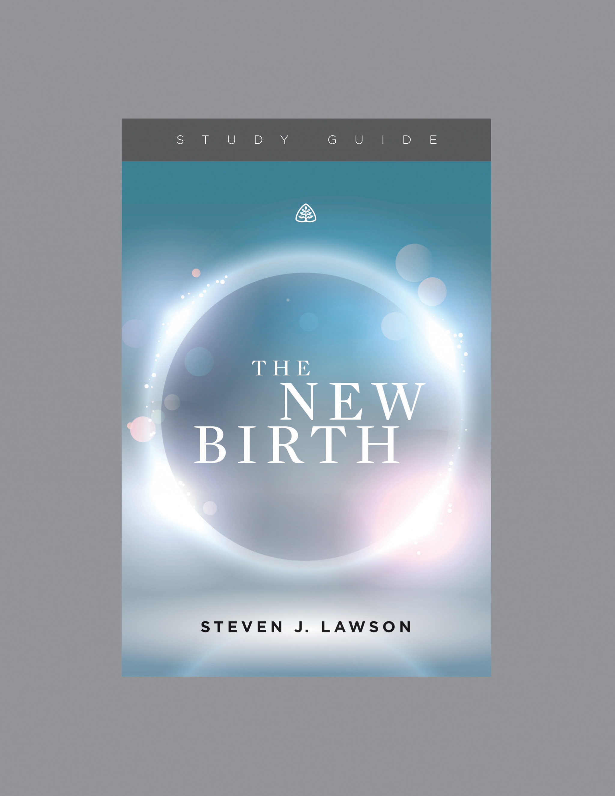 New Birth Teaching Series Study Guide By Lawson Steven J (Paperback)