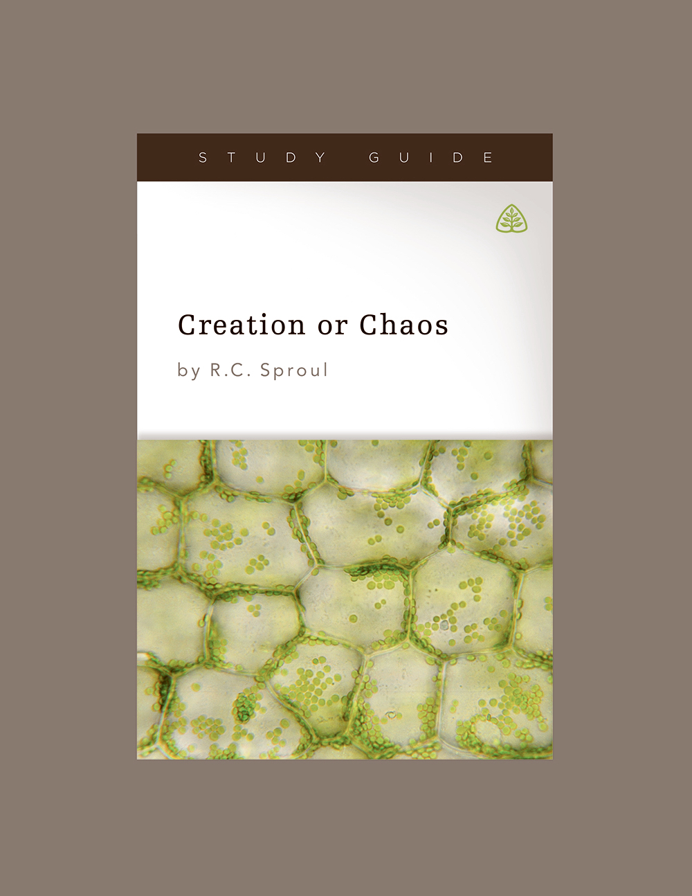 Creation or Chaos By Sproul R C (Paperback) 9781567698664