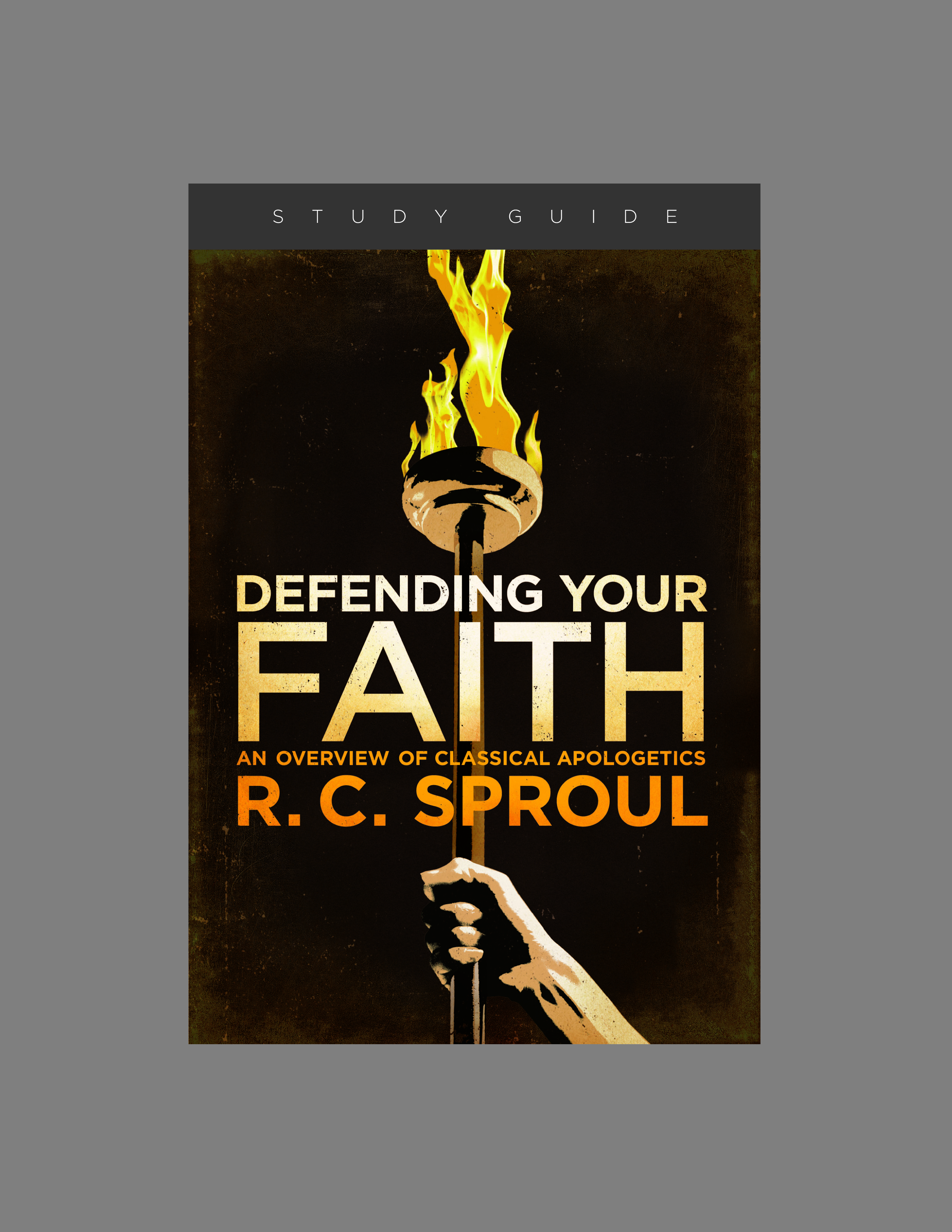 Defending Your Faith Teaching Series Study Guide