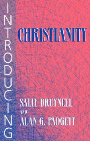 Introducing Christianity By Bruyneel (Paperback) 9781570753954