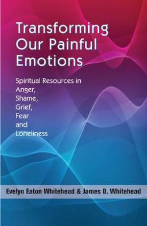 Transforming Our Painful Emotions (Paperback) 9781570758706