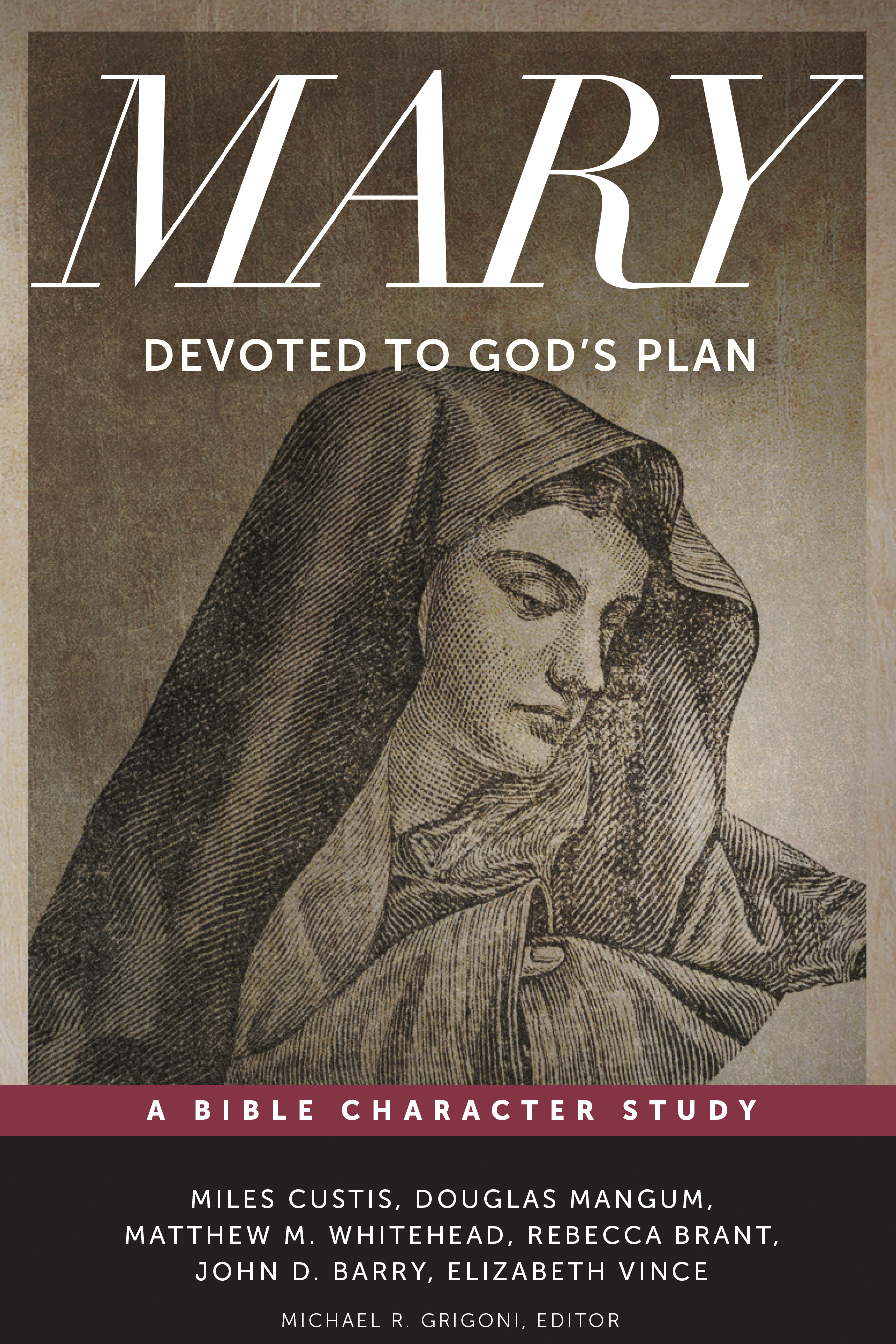 Mary Devoted to God's Plan By Vince Elizabeth (Paperback)