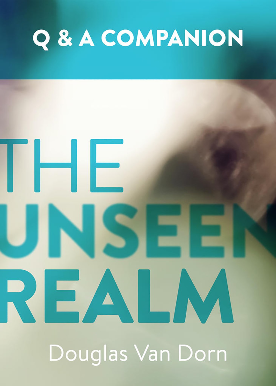 The Unseen Realm A Question & Answer Companion By Van Dorn Douglas