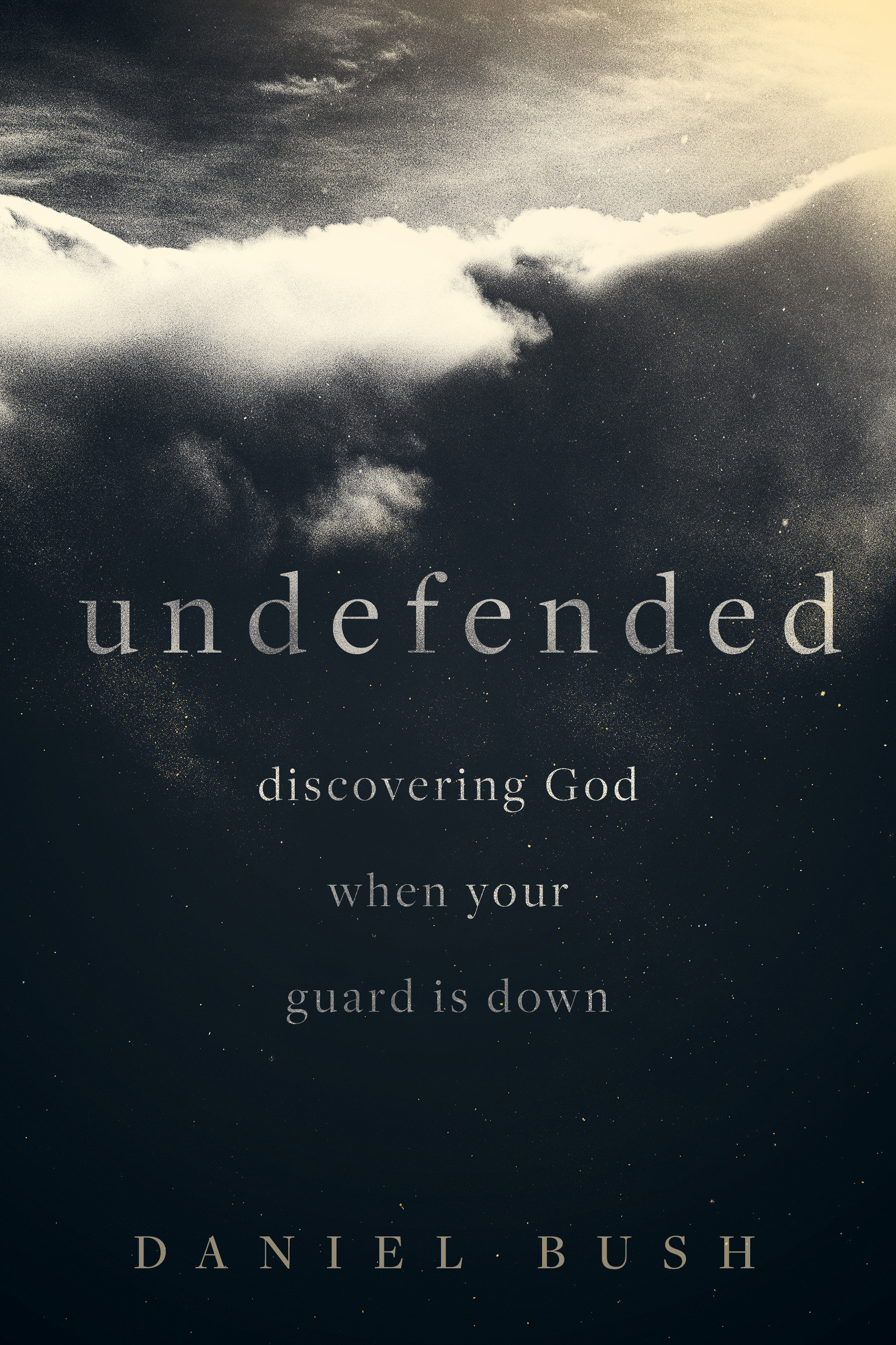 Undefended By Bush Daniel (Paperback) 9781577997467