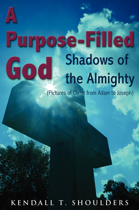 Purpose-filled God By Kendall T Shoulders (Paperback) 9781587368189