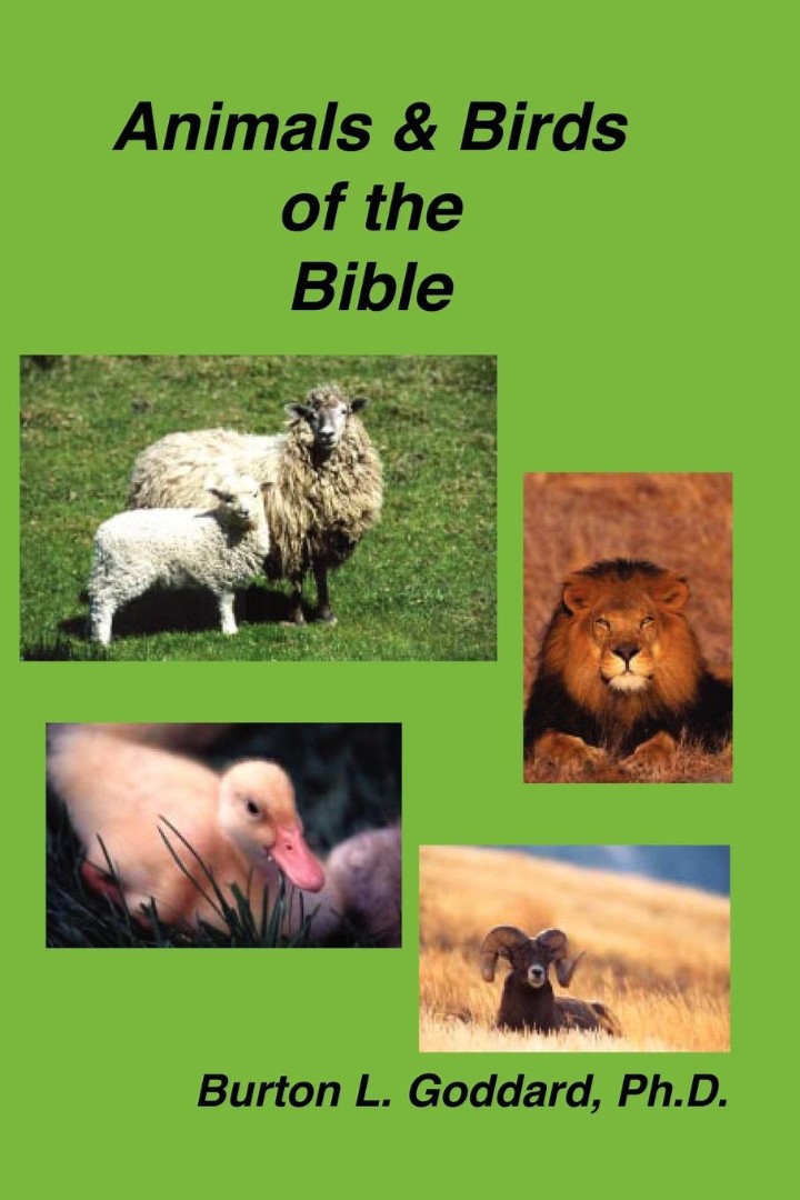 Animals and Birds of the Bible By Burton L Goddard (Paperback)