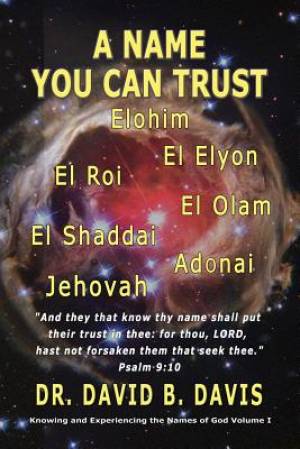 A Name You Can Trust By Dr David B Davis (Paperback) 9781590954744