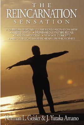 The Reincarnation Sensation (Paperback) 9781592447367