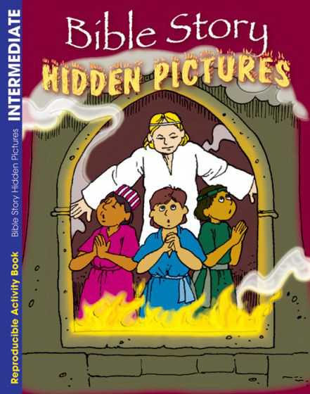 Bible Story Hidden Pictures Activity Book By Robin Fogle (Paperback)