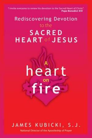 A Heart on Fire By S J James Kubicki (Paperback) 9781594712876