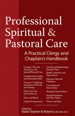 Professional Spiritual & Pastoral Care A Practical Clergy and Chaplai