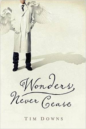 Wonders Never Cease By Tim Downs (Paperback) 9781595543097