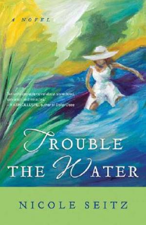 Trouble The Water By Nicole Seitz (Paperback) 9781595544001