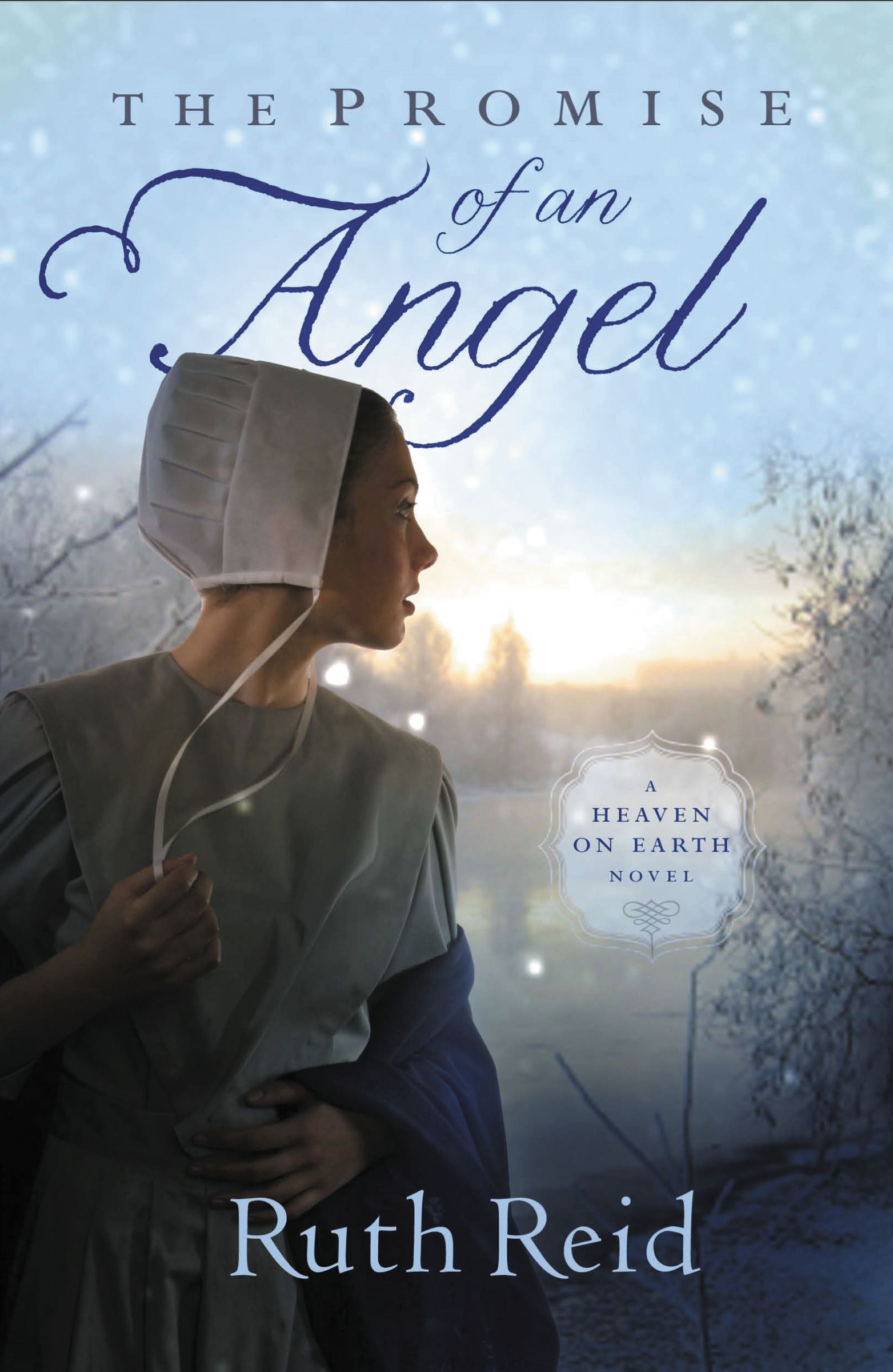 Promise Of An Angel By Thomas Nelson Publishers (Paperback)