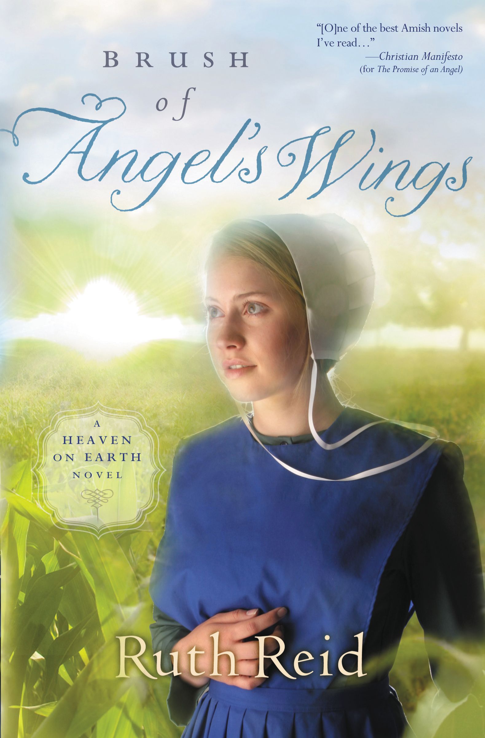 Brush Of Angels Wings By Ruth Reid (Paperback) 9781595547897