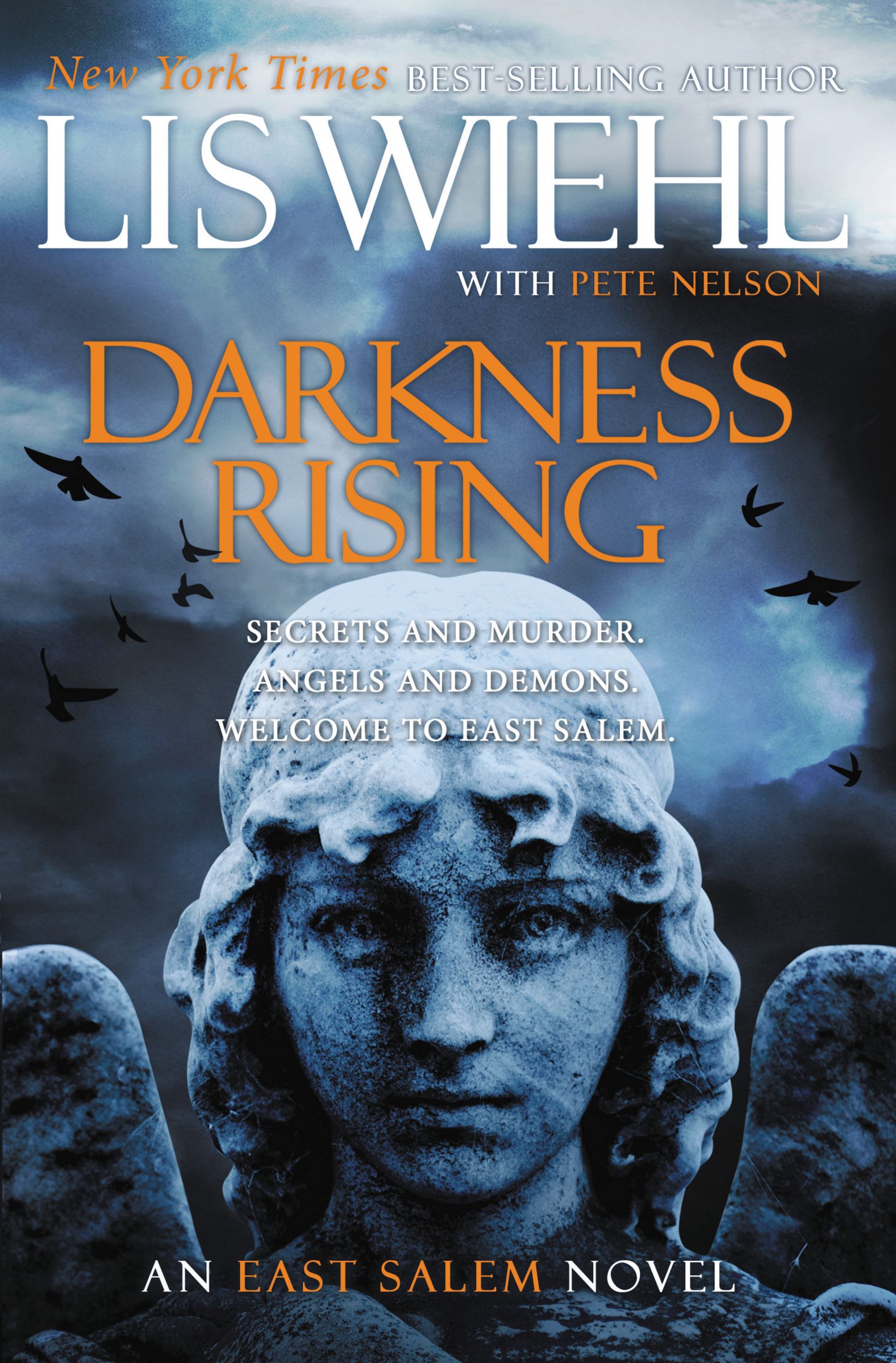 Darkness Rising By Lis Wiehl (Paperback) 9781595549440