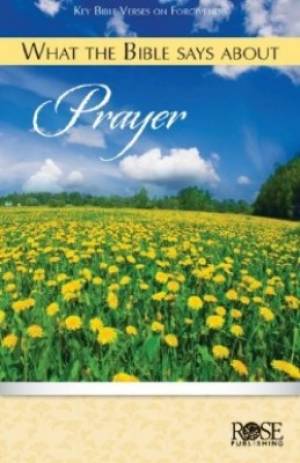 What the Bible Says About Prayer Individual pamphlet (Paperback)