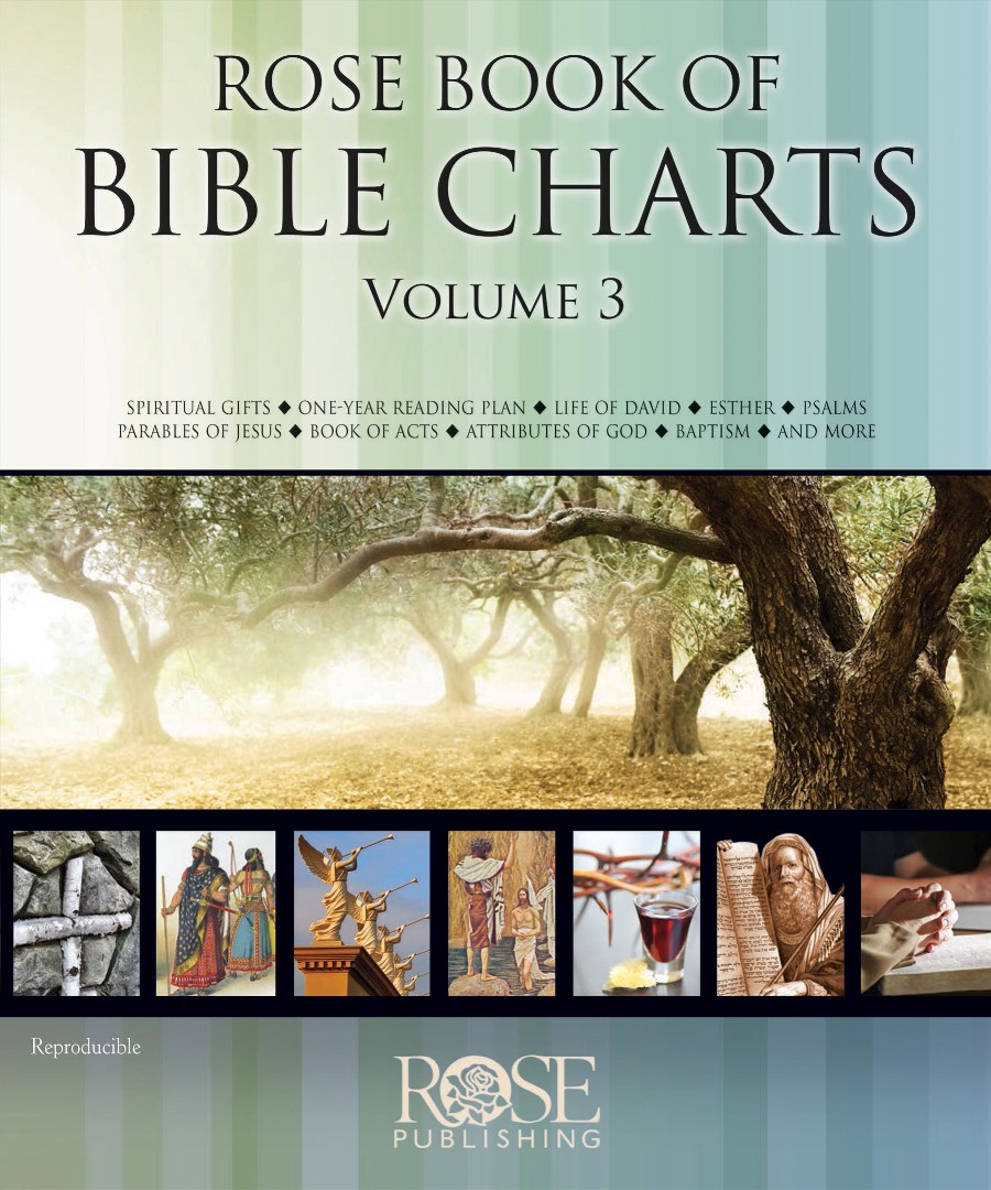 Rose Book Of Bible Charts Volume 3 by Rose Publishing Free Delivery