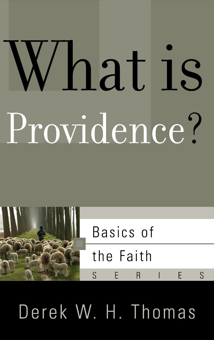 What Is Providence By Derek W H Thomas (Paperback) 9781596380929