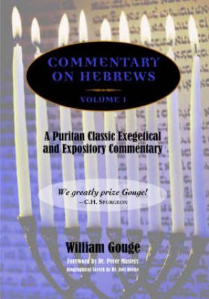 Commentary On Hebrews By William Gouge (Paperback) 9781599250687